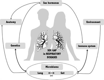 The Human Microbiome, an Emerging Key-Player in the Sex Gap in Respiratory Diseases